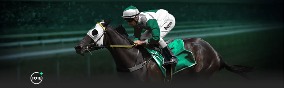 拉齐奥盼早,日重返意甲,之巅,乐发彩票开奖查询,开奖结果,互动预测平台,实时开奖,手机开奖查询