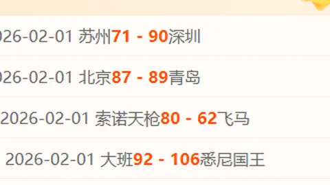 传奇中场费尔南迪尼奥退役：23年荣耀征程，40岁荣耀谢幕！