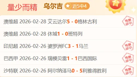 今夏希克可能告别勒沃库森，加盟英超球队，转会金约3000万欧元