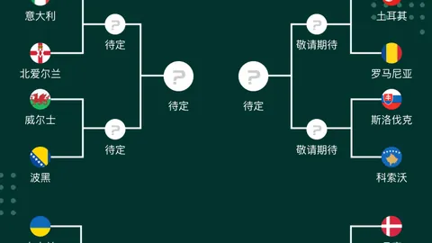 米哈伊洛维奇因暴力犯规遭四场停赛及四万罚款处罚